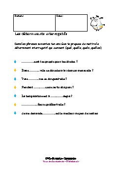 cm1-francais-grammaire-les-determinants-interrogatifs-2