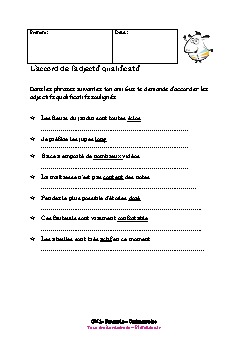 cm1-francais-orthographe-accord-adjectif-qualificatif-2