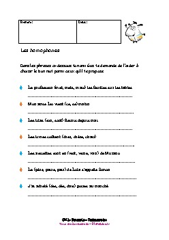 cm1-francais-orthographe-homophones-1