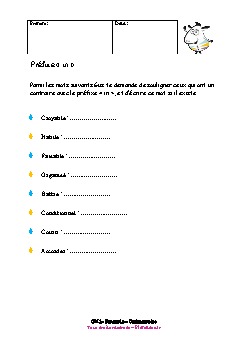 cm1-francais-orthographe-prefixe-in-2