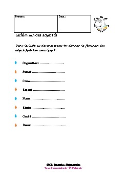 cm2-francais-orthographe-feminin-adjectifs-2