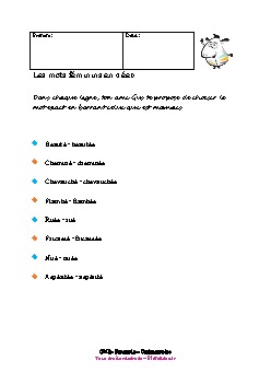 cm2-francais-orthographe-mots-feminins-terminant-en-ee-2