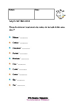 cm2-francais-orthographe-pluriel-noms-1