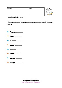 cm2-francais-orthographe-pluriel-noms-2